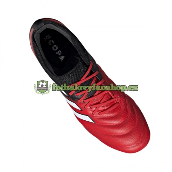 Kopačky Adidas COPA Mutator 20.1 FG Červené Černá